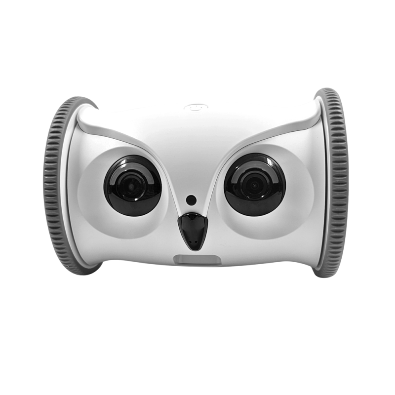 ربات مراقبت از پت OWL